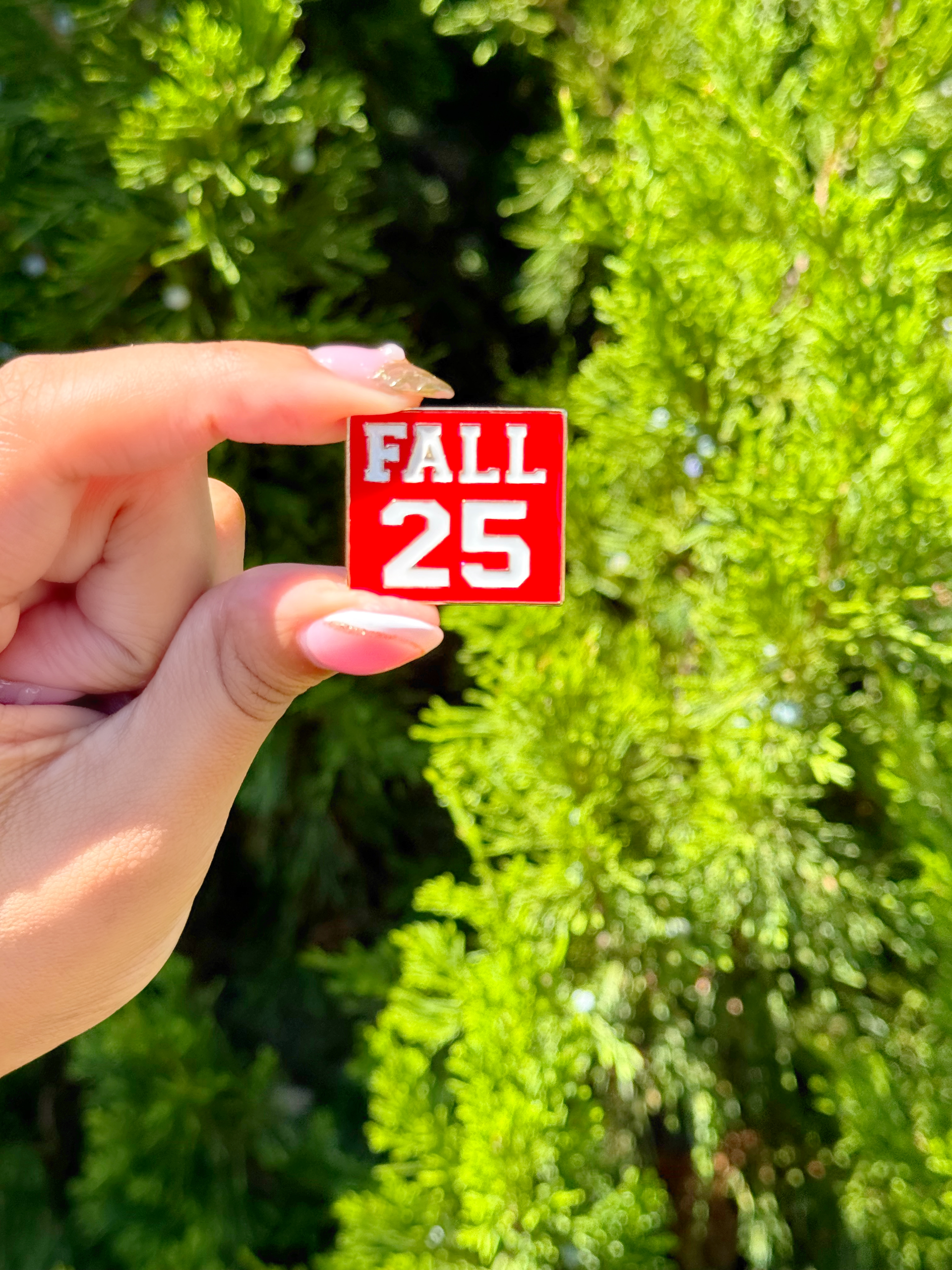 DST Fall 25 Lapel Pin