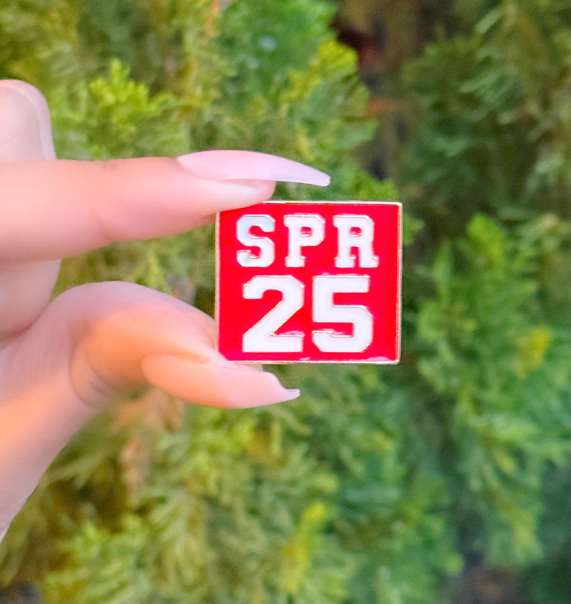 DST Spring 25 Lapel Pin