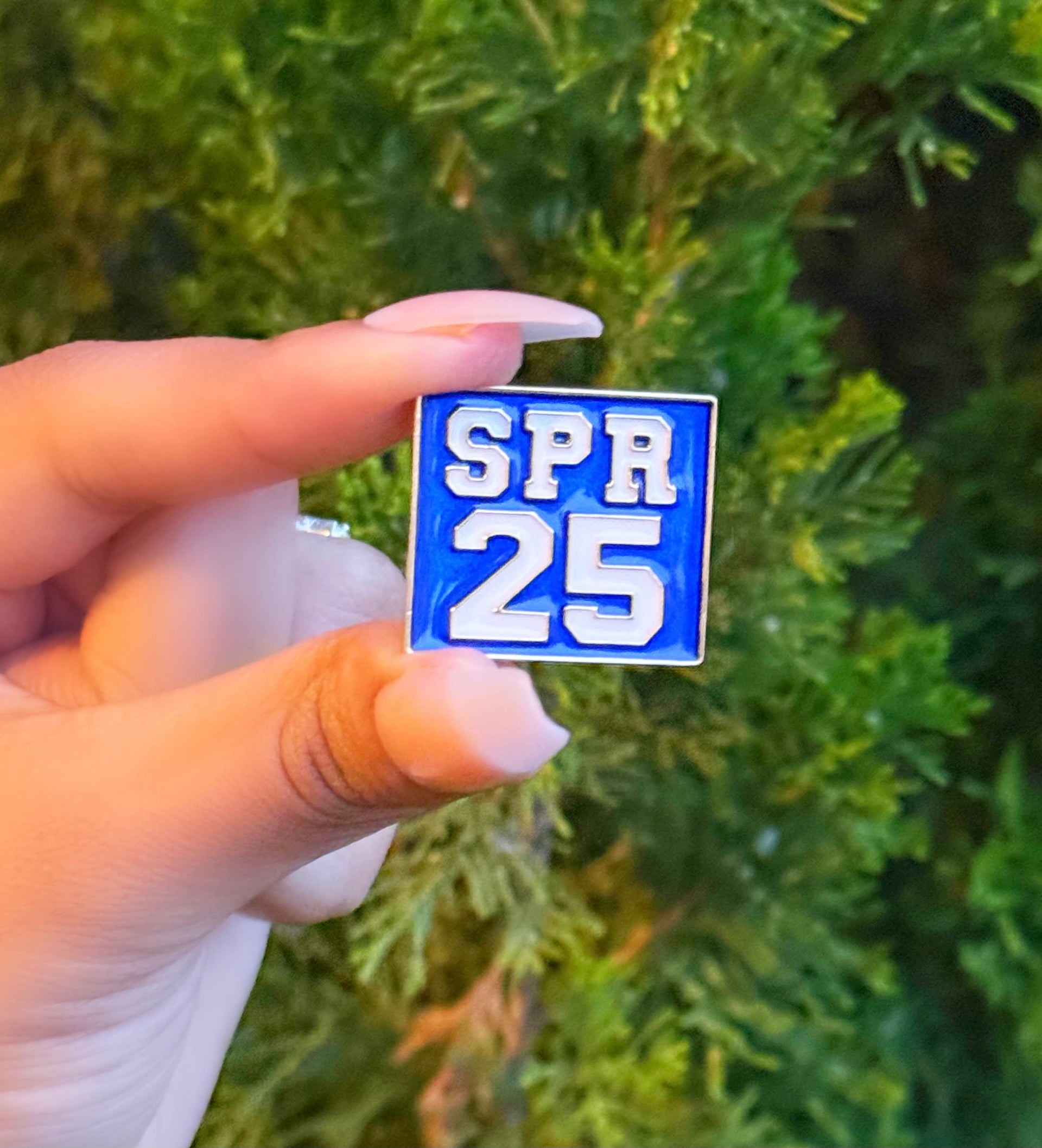 ZPB Spring 25 Lapel Pin