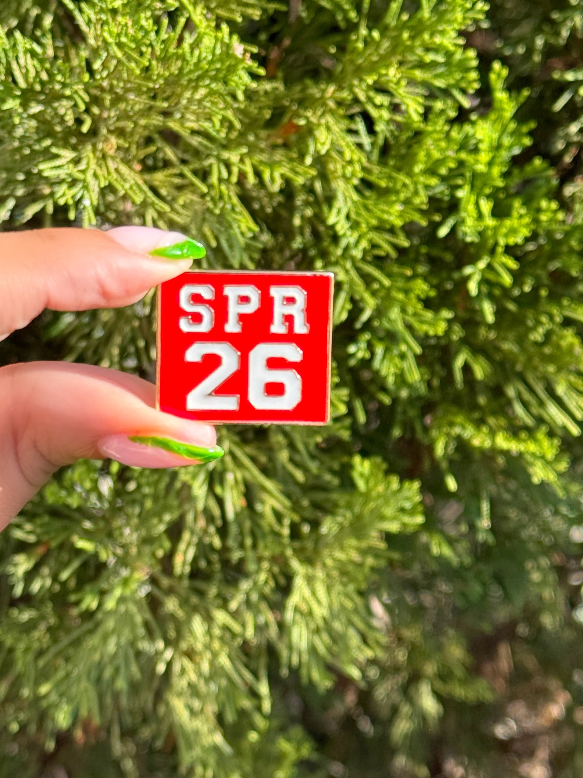 DST SPR 26 Lapel Pin