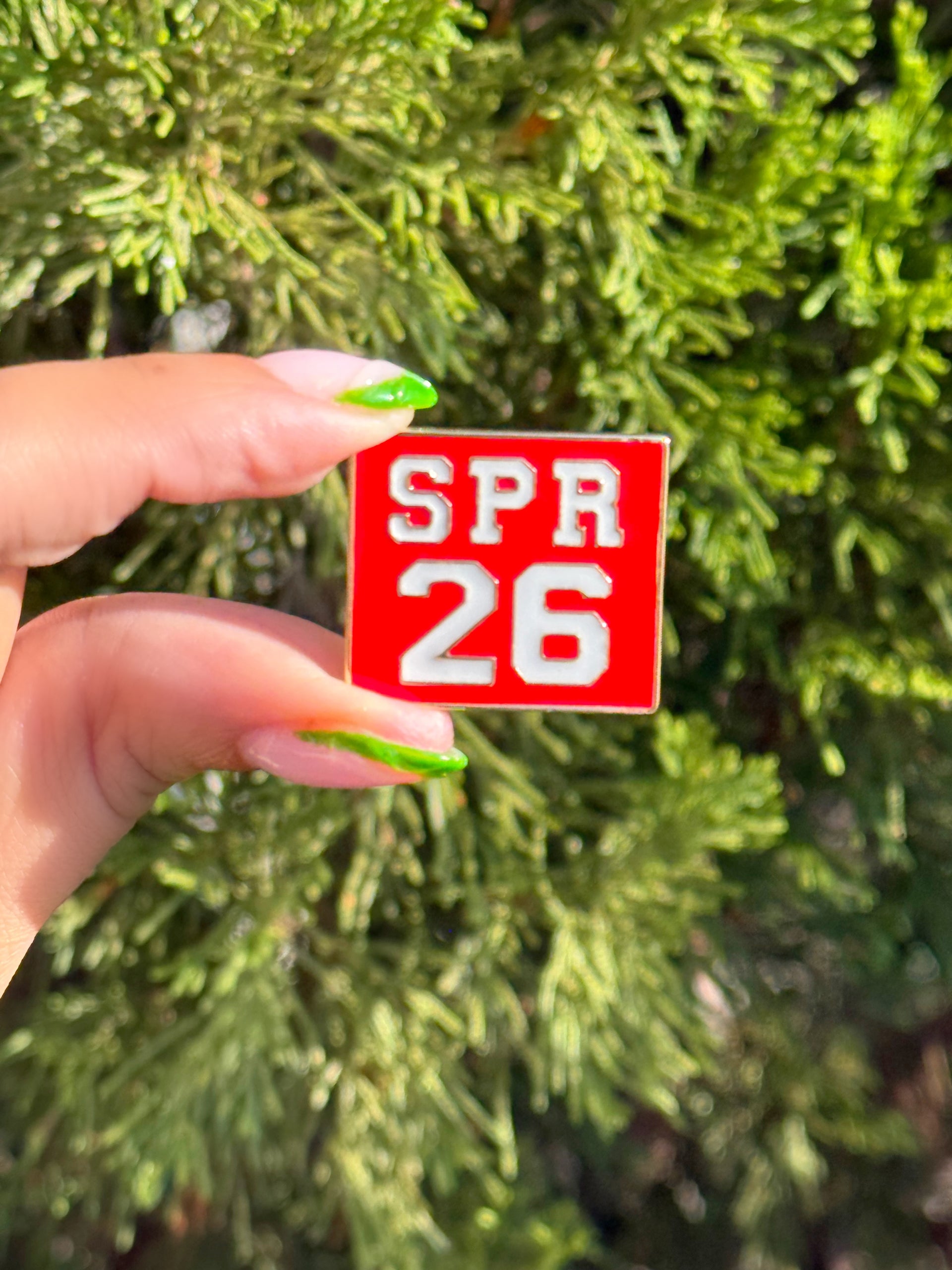 DST SPR 26 Lapel Pin