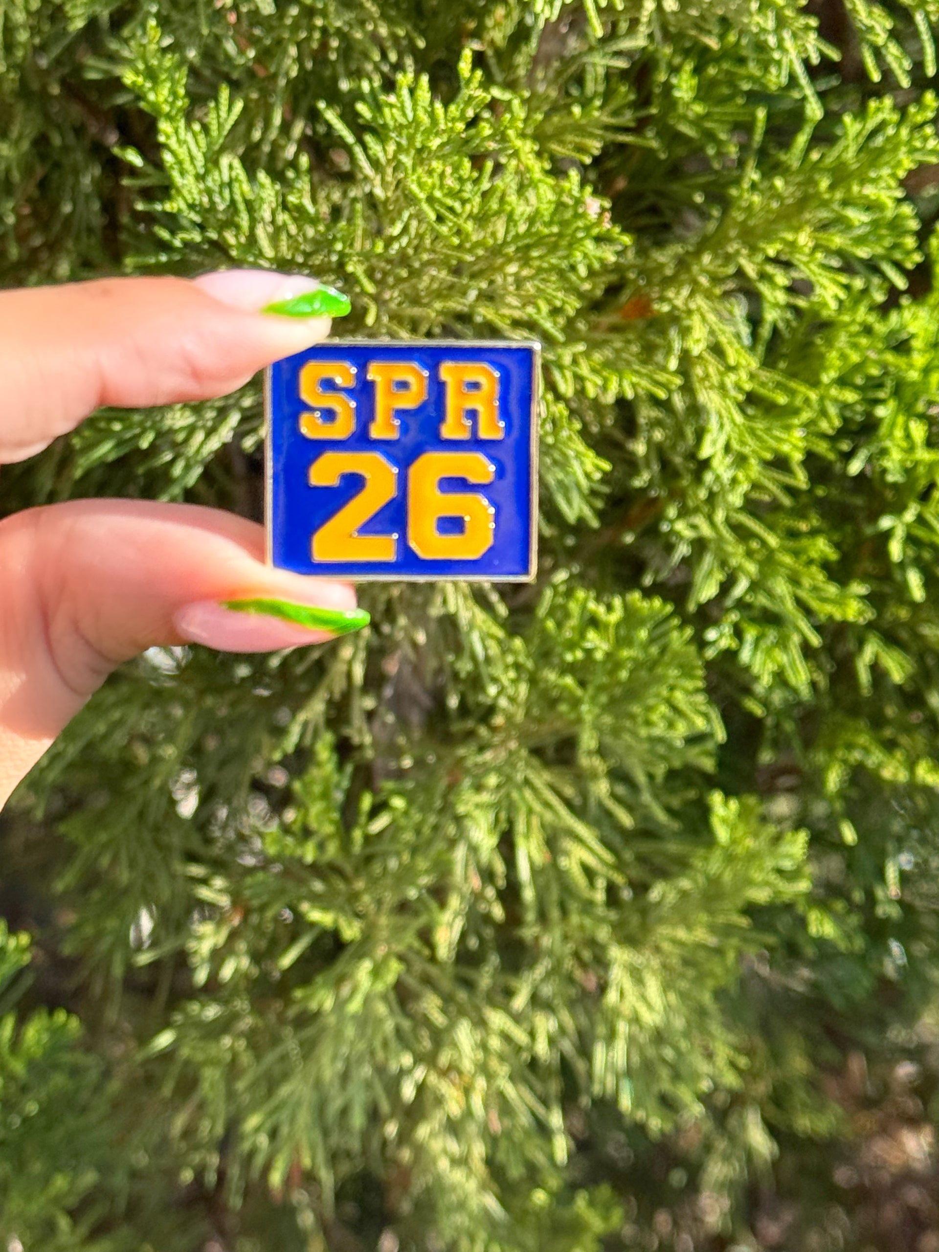 SGRHO SPR 26 Lapel Pin