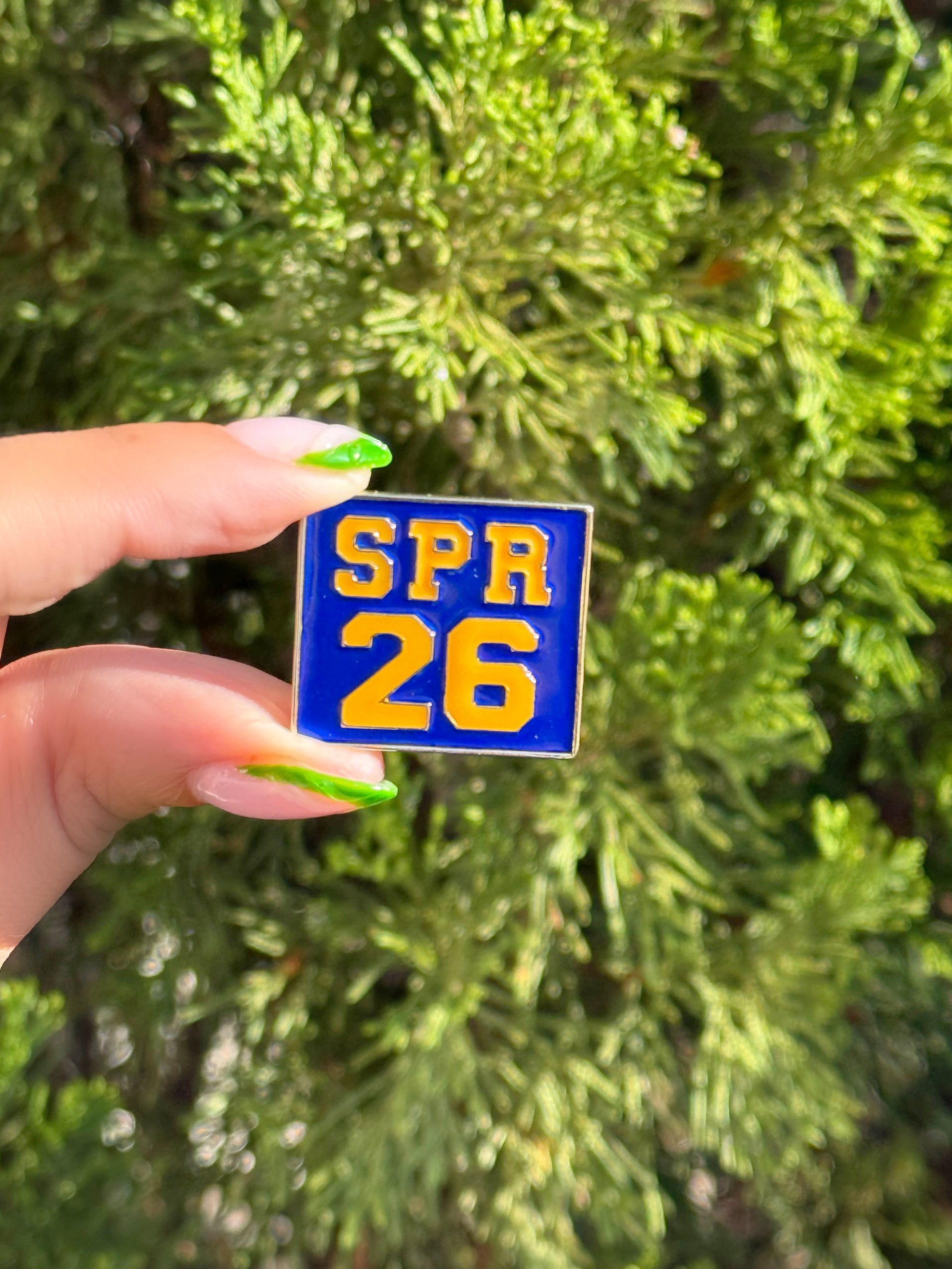 SGRHO SPR 26 Lapel Pin